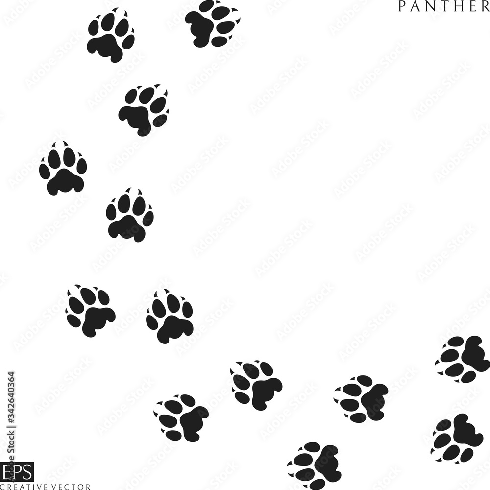 Panther paw prints. Silhouette. Wild animal. Isolated paw prints on ...