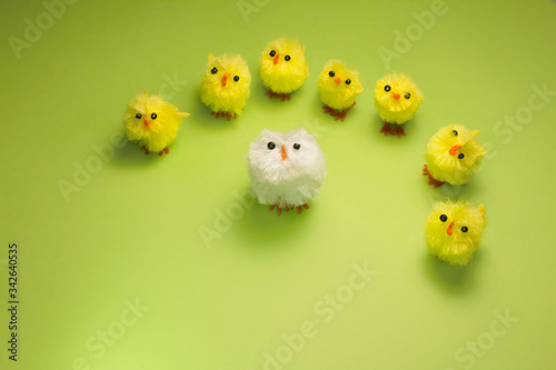 Chickens isolated on green background. Concept of boss and subordinates. Leader and team