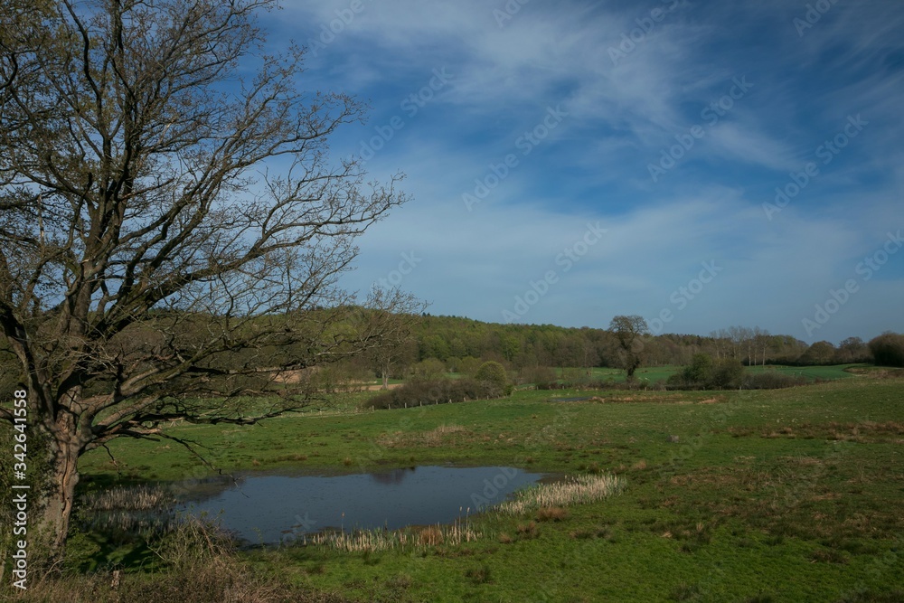 Fototapeta premium idyllische Kulturlandschaft mit Hügeln und Wald in den Hüttener Bergen im Frühling
