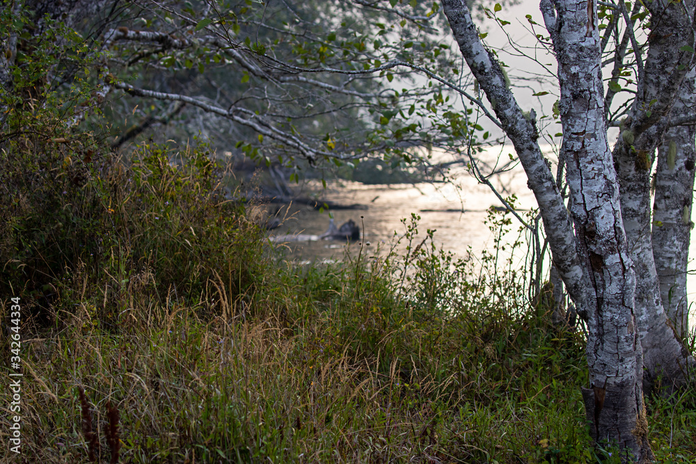 a mountain side lake reflecting the sky next to tall grasses a mountain side lake reflecting the sky next to tall grasses