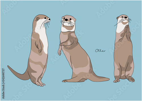 Vector Illustration of adorable Otter