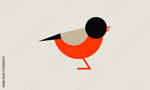 BIRD abstract vector logo monogram template