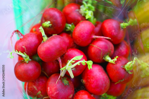 Red round Radish with fresh green leaves in plastic bag