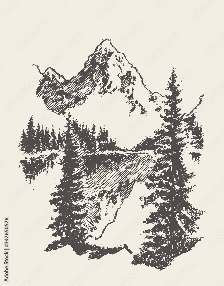 Obraz premium Two mountains spruce forest and lake vector sketch