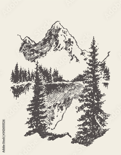Two mountains spruce forest and lake vector sketch