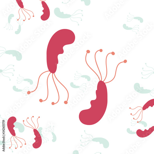 Isolated coronavirus bacterium vector design