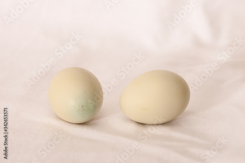 white eggs close up 