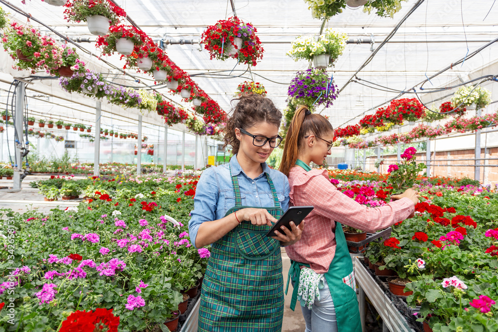 Two woman work in modern nursery plant store with notebook