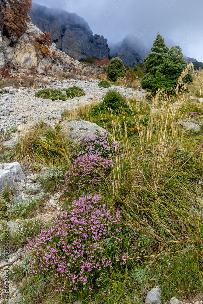 Aurunci mountains in Formia lazio italy Aurunci mountains in Formia lazio italy