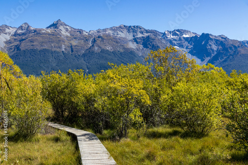 Wood path over swamp near lake Wakatipu in New Zealand. South Island.