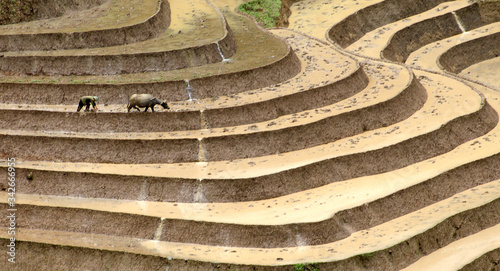 Water on terraces at Thien Sinh valley, Y Ty, Lao Cai, Vietnam same world heritage Ifugao rice terraces in Batad, northern Luzon, Philippines.
