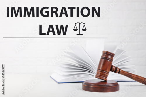 Judge's gavel, book and words IMMIGRATION LAW on white background