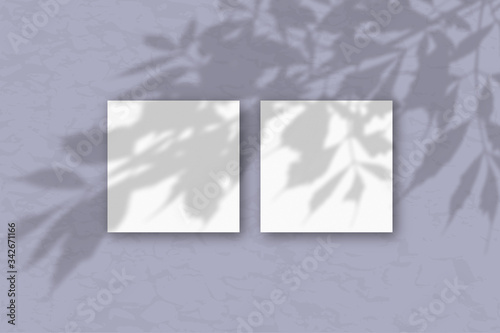 2 square sheets of white textured paper against a gray wall. Mockup overlay with the plant shadows. Natural light casts shadows from the tree's foliage. Flat lay, top view