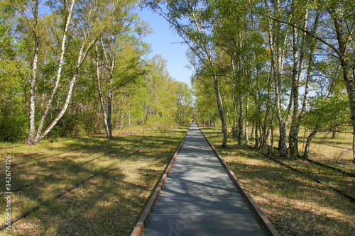 Nature Park South, Berlin (Schoeneberg), Germany photo