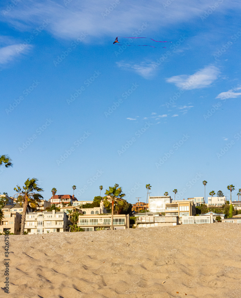 Kite flying high over beach and palm trees Kite flying high over beach and palm trees