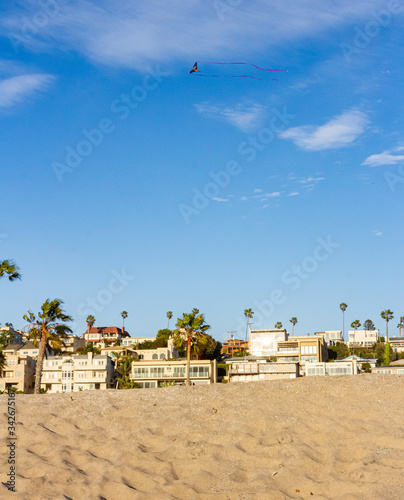 Kite flying high over beach and palm trees