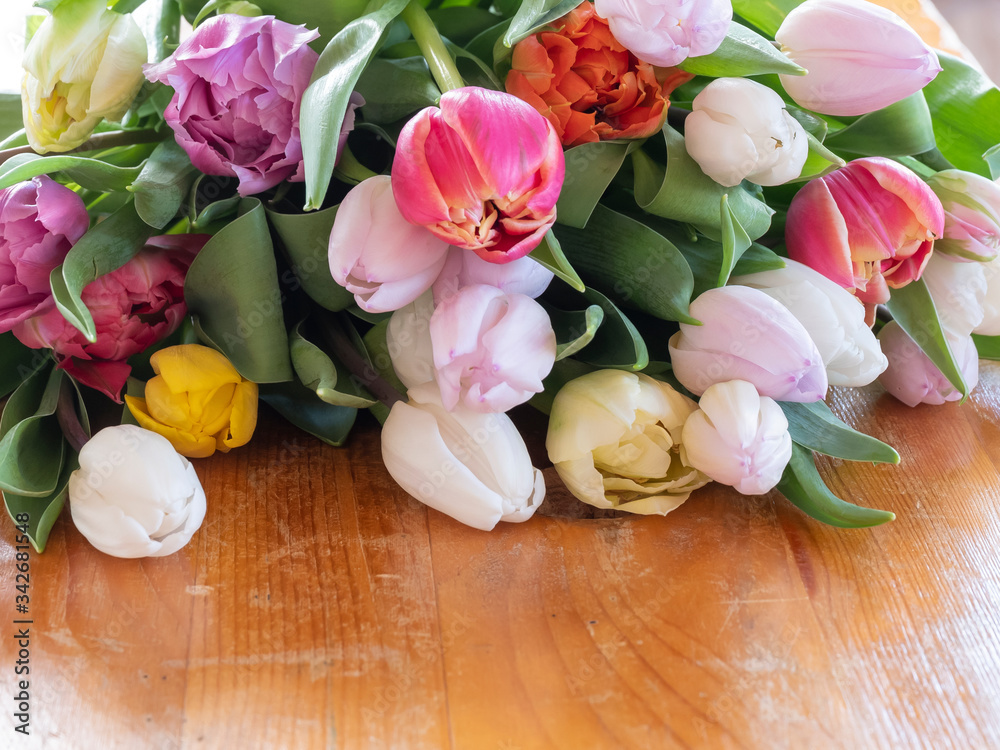 multi-colored tulips are loose on a wooden table multi-colored tulips are loose on a wooden table