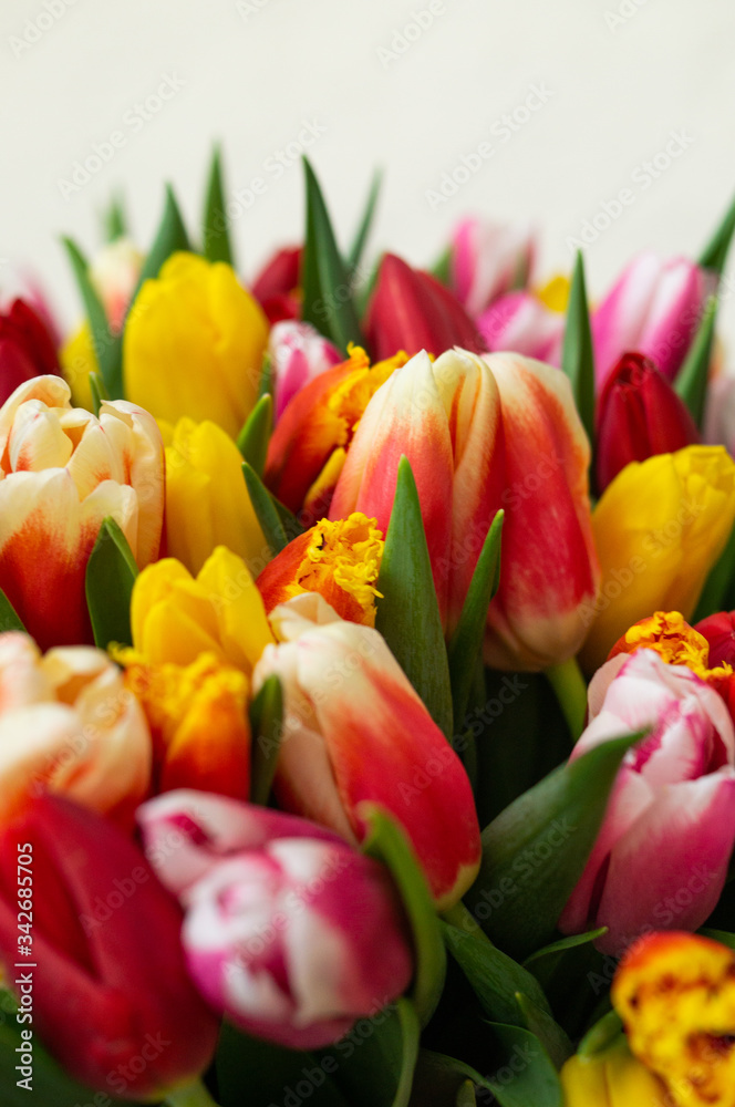 A close up of tulips A close up of tulips
