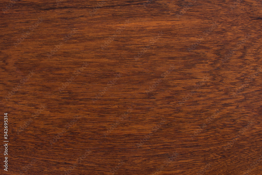 background and texture of Macro Ormosia wood background and texture of Macro Ormosia wood
