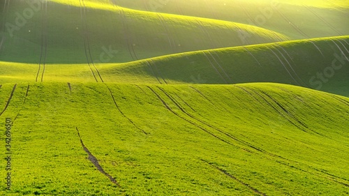 Green spring nature background with setting sun and grass. Waves on the field. Moravian Tuscany - Czech Republic - Europe.