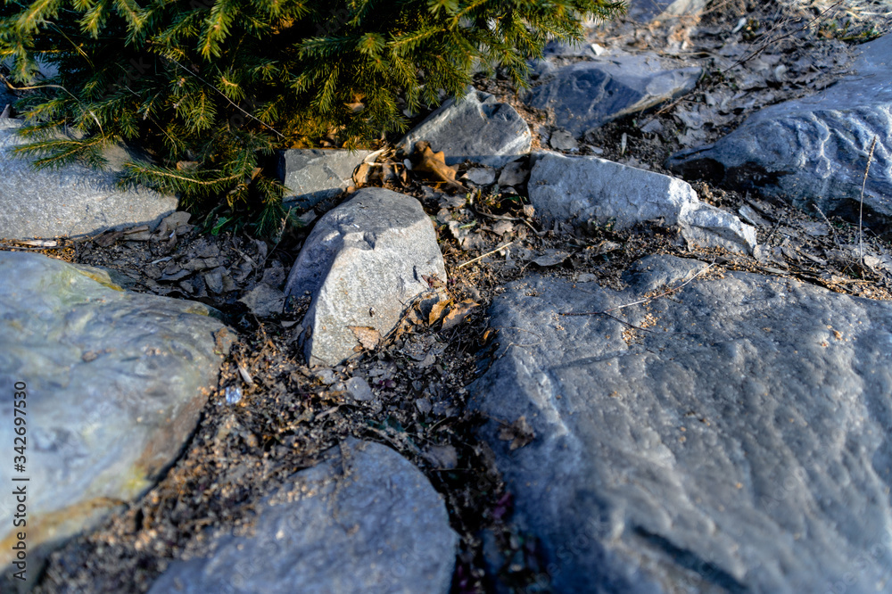 Stones in the morning sun