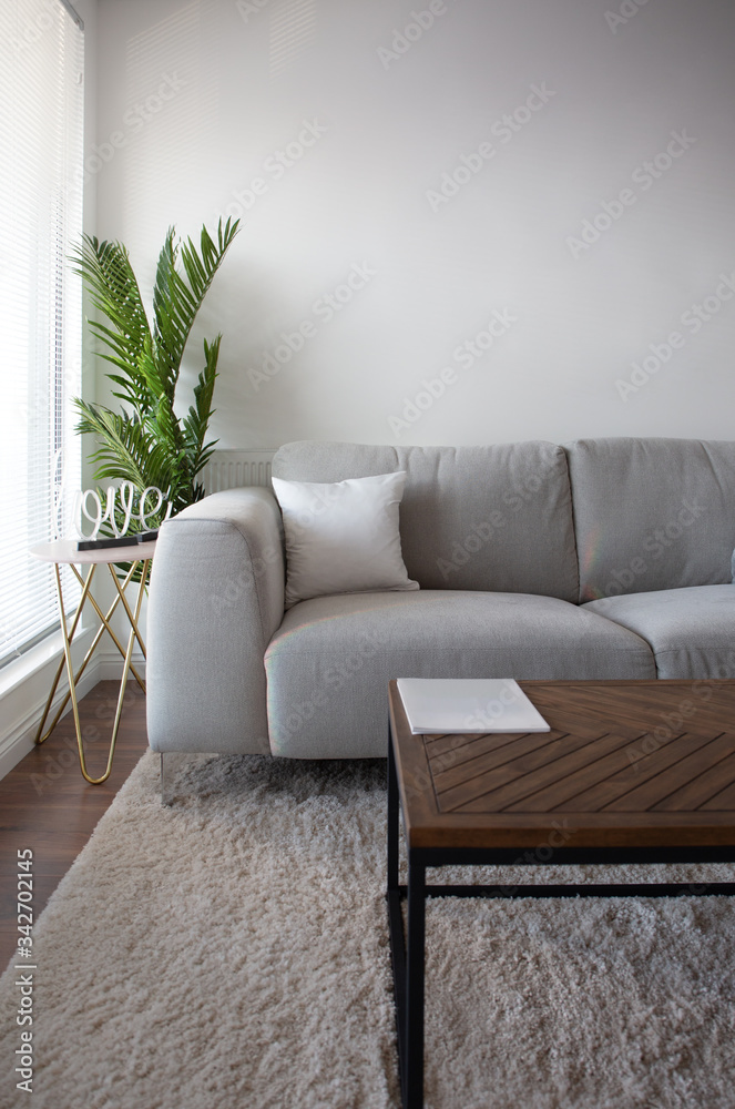 Fototapeta premium Shot of living room with sofa and coffee table