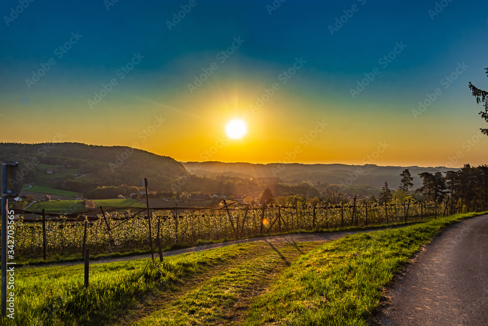 Sonnenaufgang Südsteiermark auf einem Feld mit Hügeln im Hintergrund und Feldweg im Vordergrund