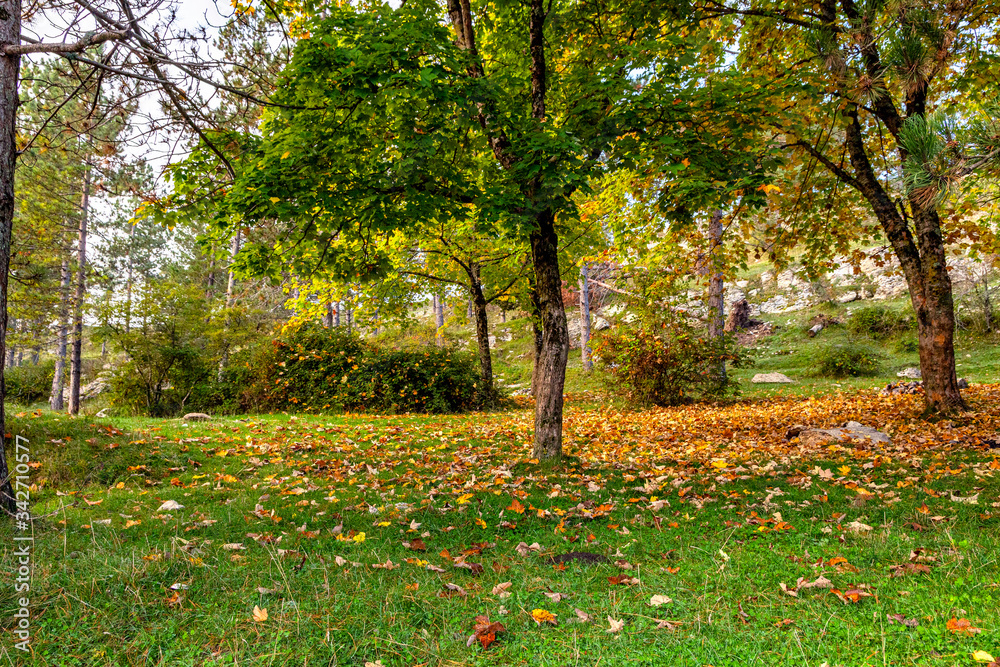 Feeling autunnale Feeling autunnale