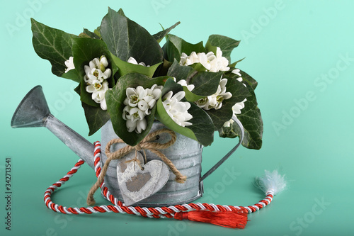 Spring time flowers like snowdrops, flat lay, isolated on colored simple background, spring symbol and traditional Romanian 