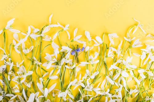 Spring time flowers like snowdrops, hyacinth and roses, isolated on yellow simple background, spring symbol and traditional romanian 