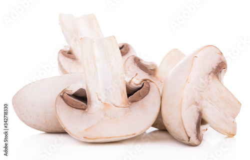 Mushroom champignon healthy fresh vegetable from nature isolated on a white background.