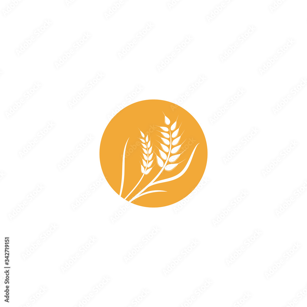 Wheat Logo Template vector symbol
