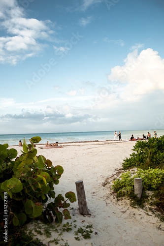 beach and sea