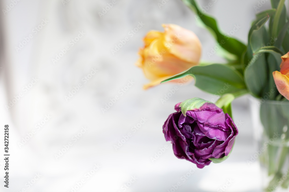 Bouquet of vivid colorful decorative tulips