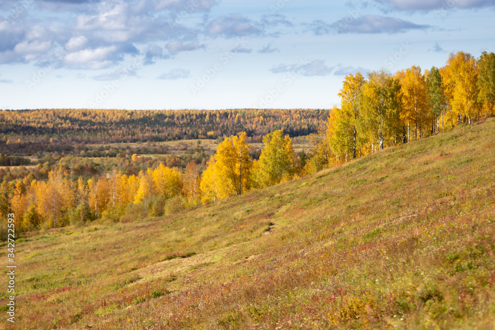 Sunny autumn landscape with tree at hill