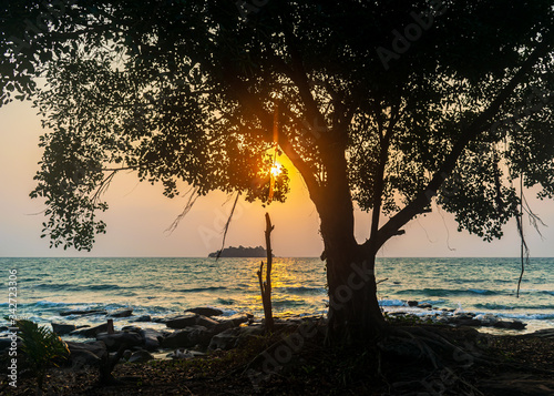 A beautiful sunrise and the tree on the White Beach, Koh Rong, Cambodia