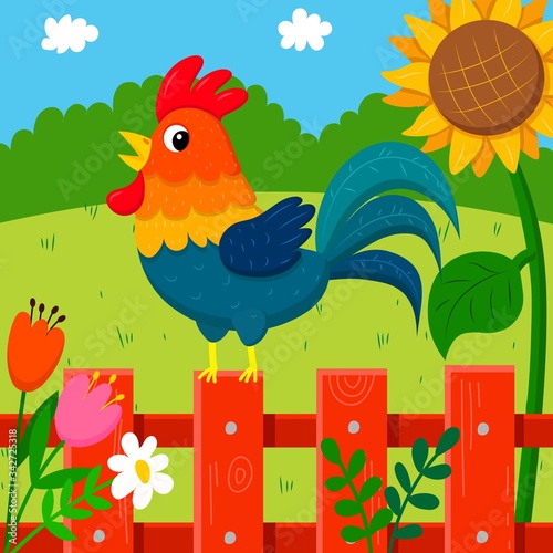 rooster on the fence