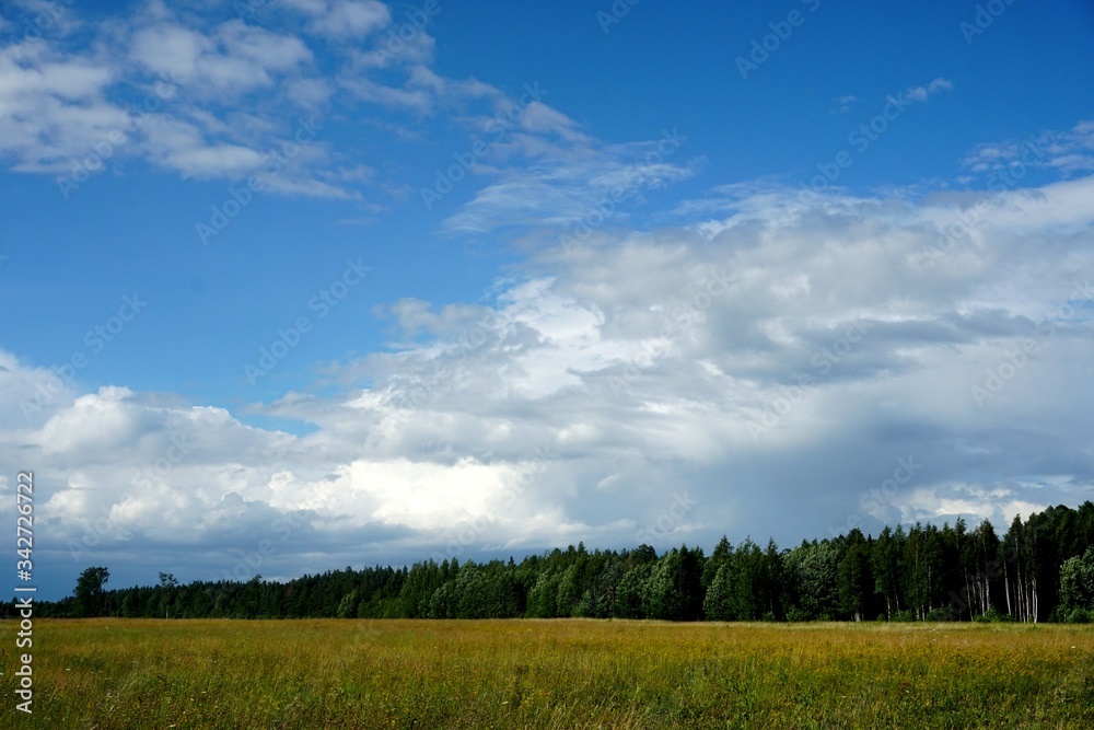 Summer landscape with forest and meadow in the foreground, Beautiful blue sky with white clouds Summer landscape with forest and meadow in the foreground, Beautiful blue sky with white clouds