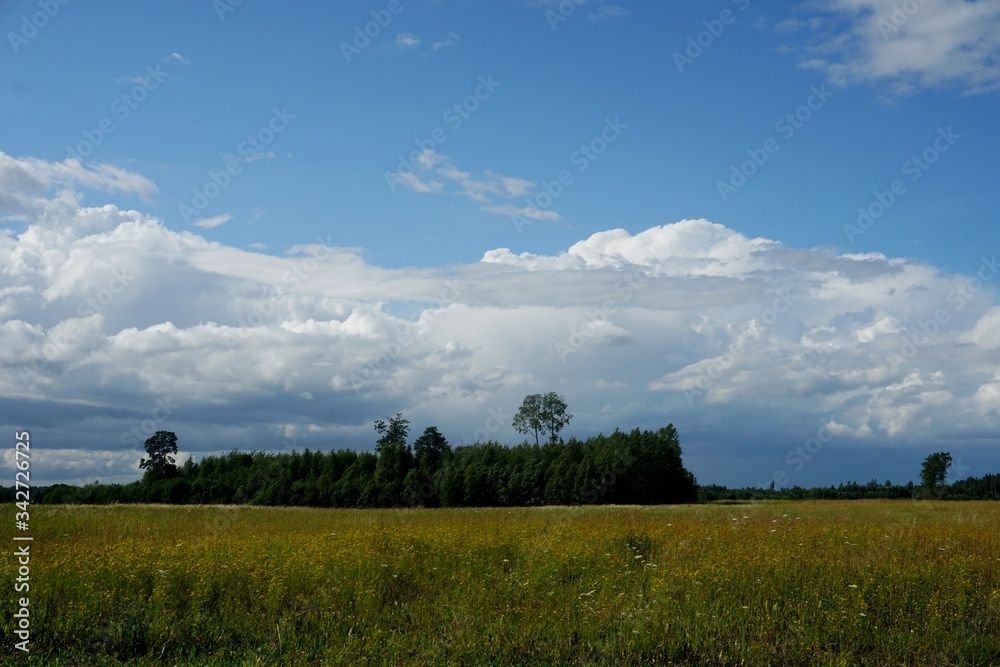 Summer landscape with forest and meadow in the foreground, Beautiful blue sky with white clouds Summer landscape with forest and meadow in the foreground, Beautiful blue sky with white clouds
