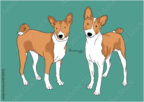 Vector Illustration of Dog, Basenji