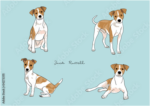 Vector Illustration of Dog, Jack Russell Terrier