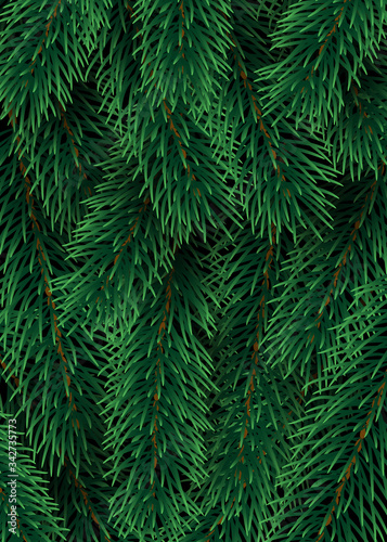 Christmas decoration element. Christmas tree branches background. Green colorful pine pattern. Vector