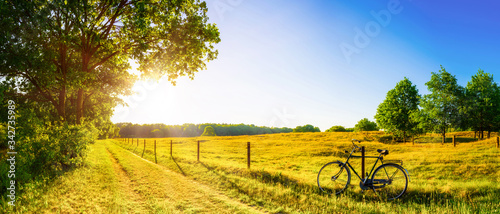 Fotografie, Obraz Landscape in summer with trees and meadows in bright sunshine