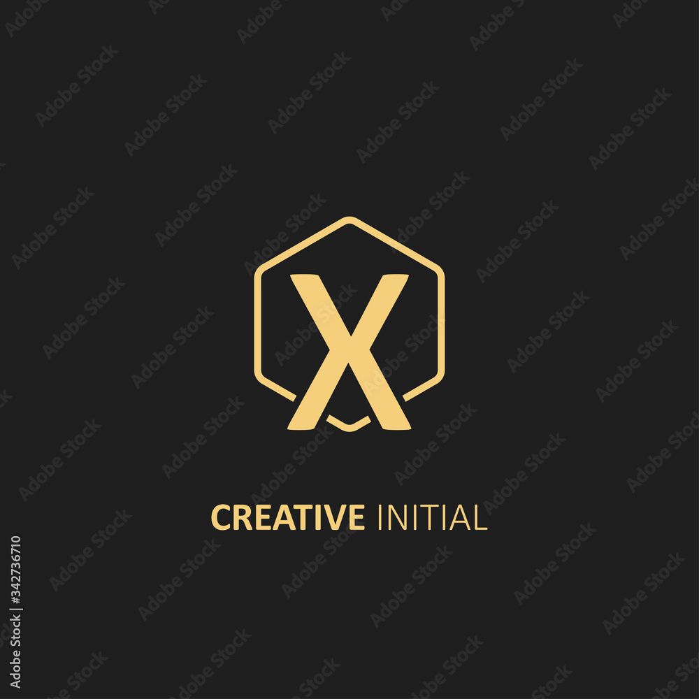 Letter X Logo with Outline Hexagon Frame. Design vector illustration template
