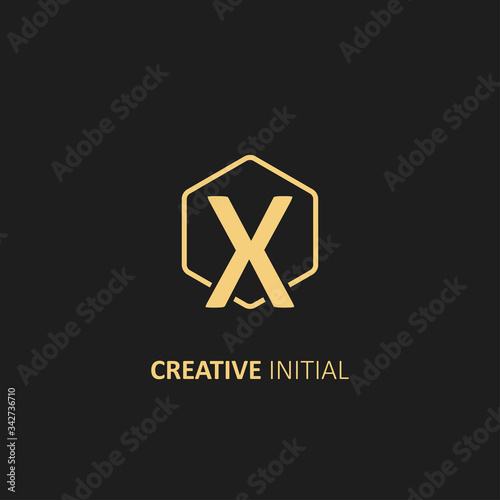 Letter X Logo with Outline Hexagon Frame. Design vector illustration template