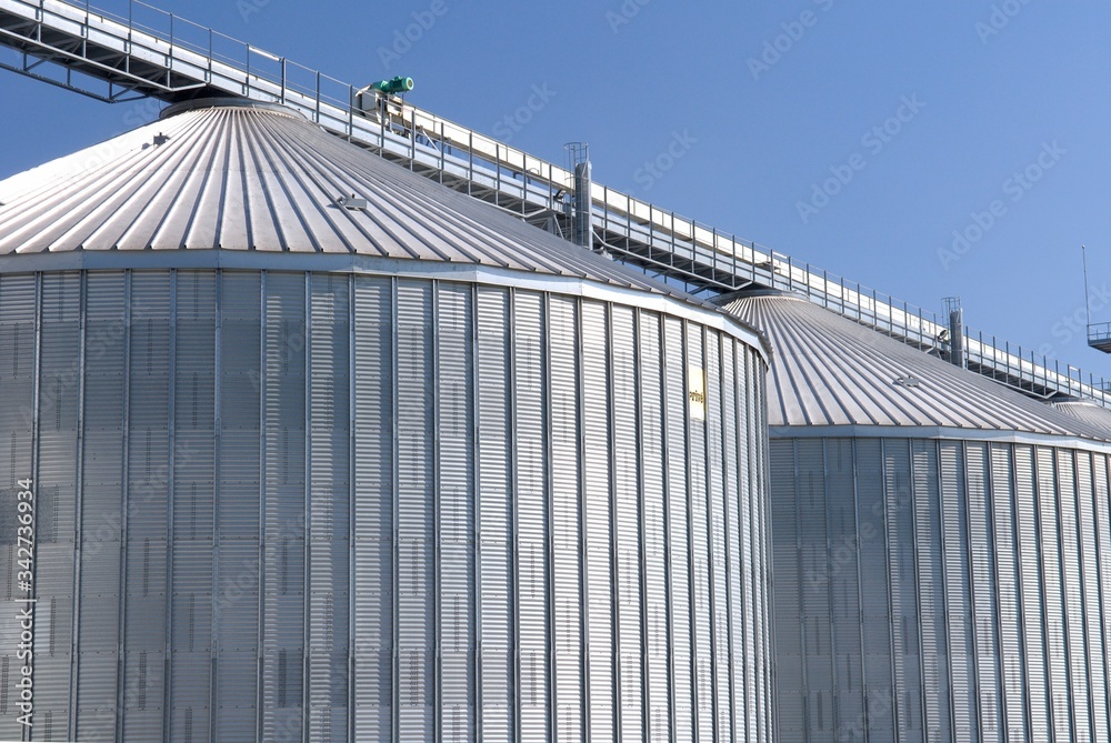 Moisson blé, déchargement à la coopérative Moisson blé, déchargement à la coopérative