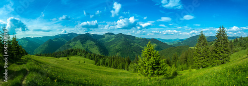 Pure clean air of alpine meadow beautiful panorama. Carpathian mountains © Banana Republic