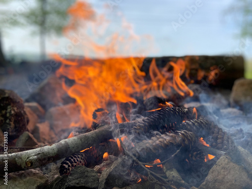 a burning wood fire