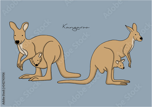 Vector Illustration of cute Kangaroo