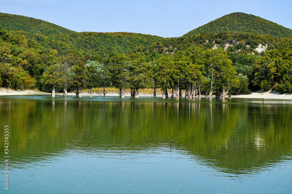 Lake Sukko, Krasnodar territory, Russia. Cypress grove in the waters of the lake. A fantastically beautiful lake in the mountains.